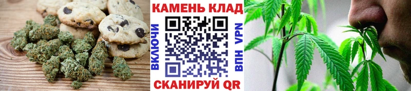 купить наркотик  Рассказово  Печенье с ТГК марихуана 