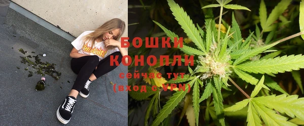 сатива Михайловка
