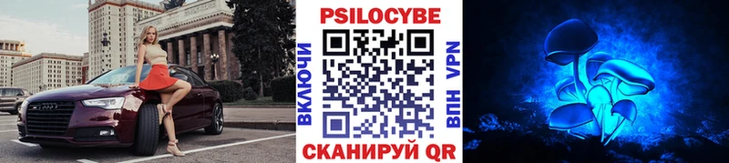Псилоцибиновые грибы Psilocybine cubensis  blacksprut как зайти  Рассказово 